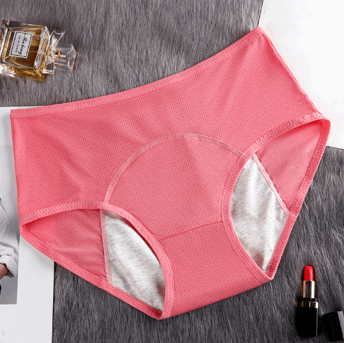 5PCS Menstrual Underwear Women Leak Proof Panties